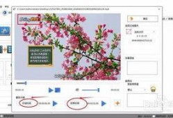 水印视频爆料怎么弄出来,如何轻松提取关键信息